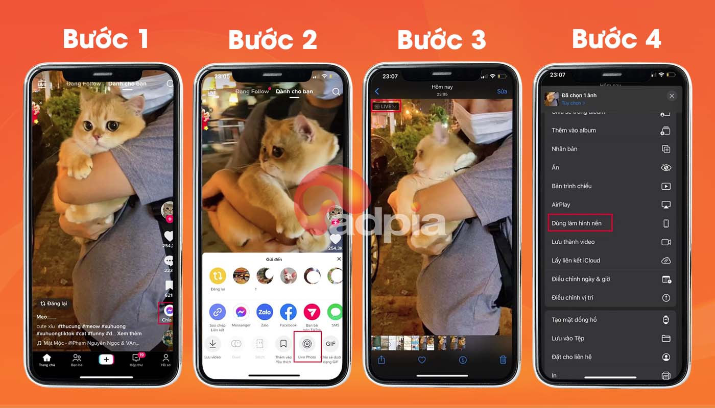 Cách lấy video tiktok làm hình nền 1 Cách lấy video tiktok làm hình nền 1