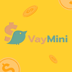 VayMini 24/7