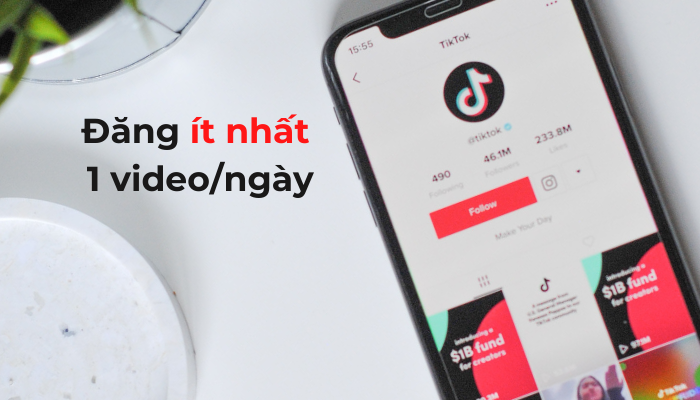 tần suất đăng video l&ecirc;n TikTok tối thiểu 1 video/ ng&agrave;y